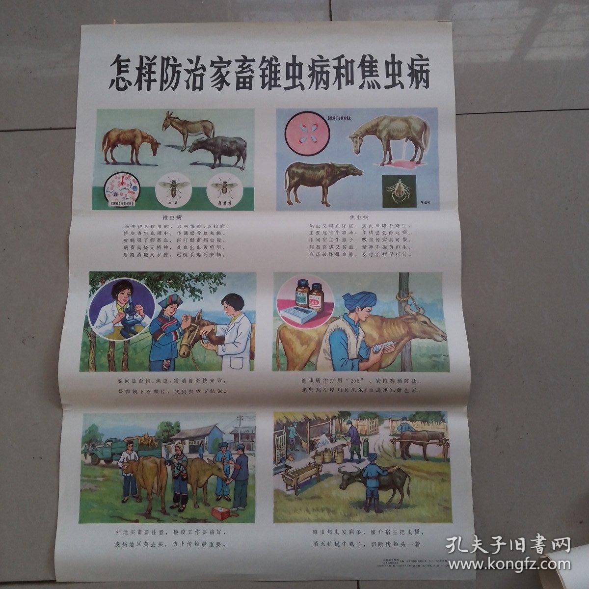 锥虫病和焦虫病怎样防治猪肺疫和猪丹毒怎样防治仔猪副伤寒仔猪白痢