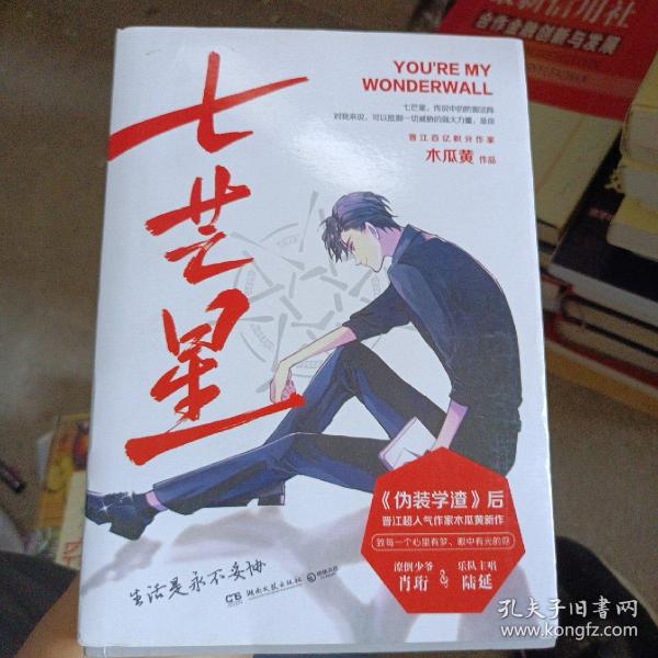 七芒星木瓜黄小说作品集上