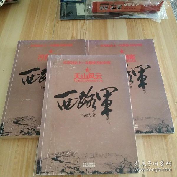 西路军:河西浴血(修订版)