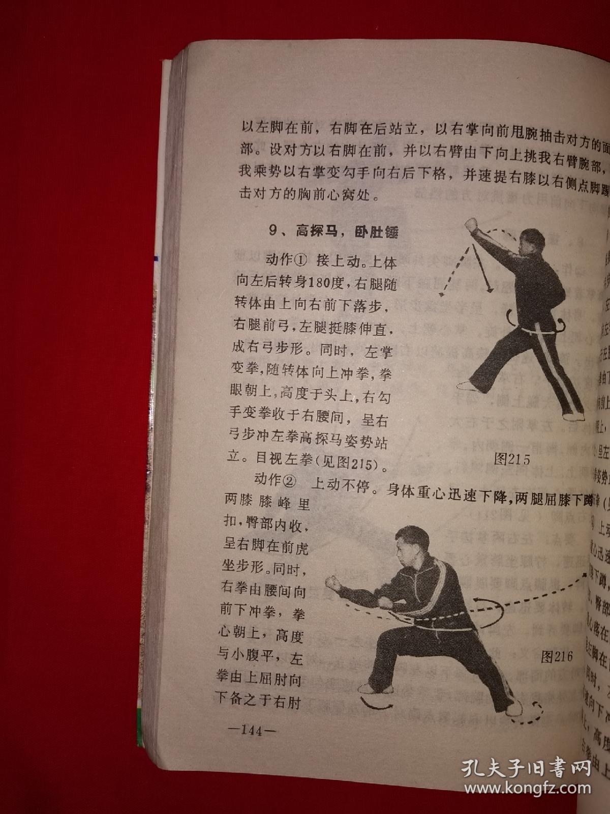 名家经典丨中国短打真传又名中国翻子拳击法汇综附铁沙掌练法东北戳脚