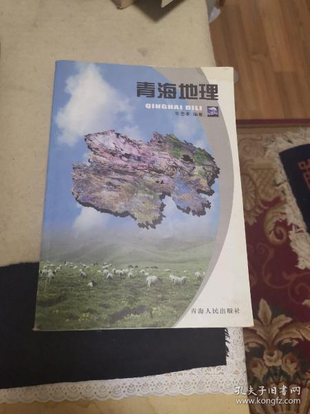 青海地理外品如图内页干净85品左右