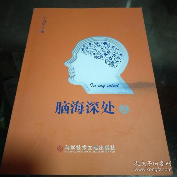 脑海深处2