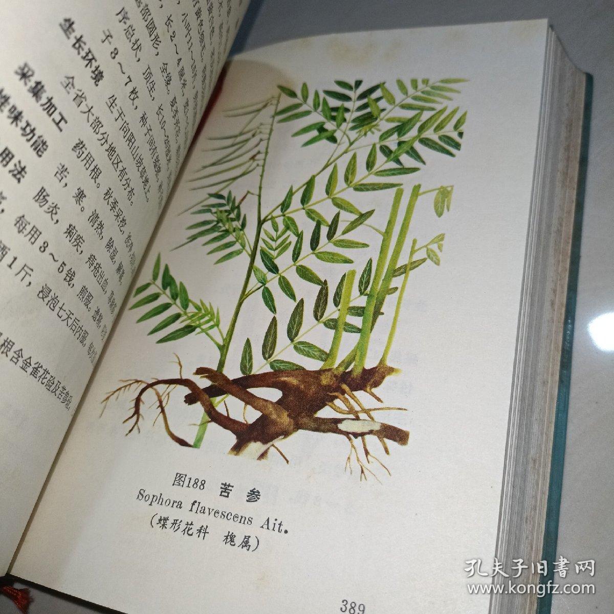 云南中草药选