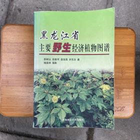 邵树亭_购买邵树亭相关商品_孔夫子旧书网