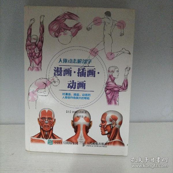 人体动态解剖学漫画插画动画