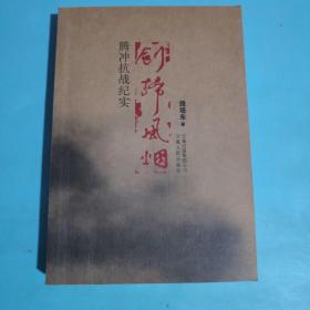 《剑扫风烟:腾冲抗战纪实》段培东 著_孔网