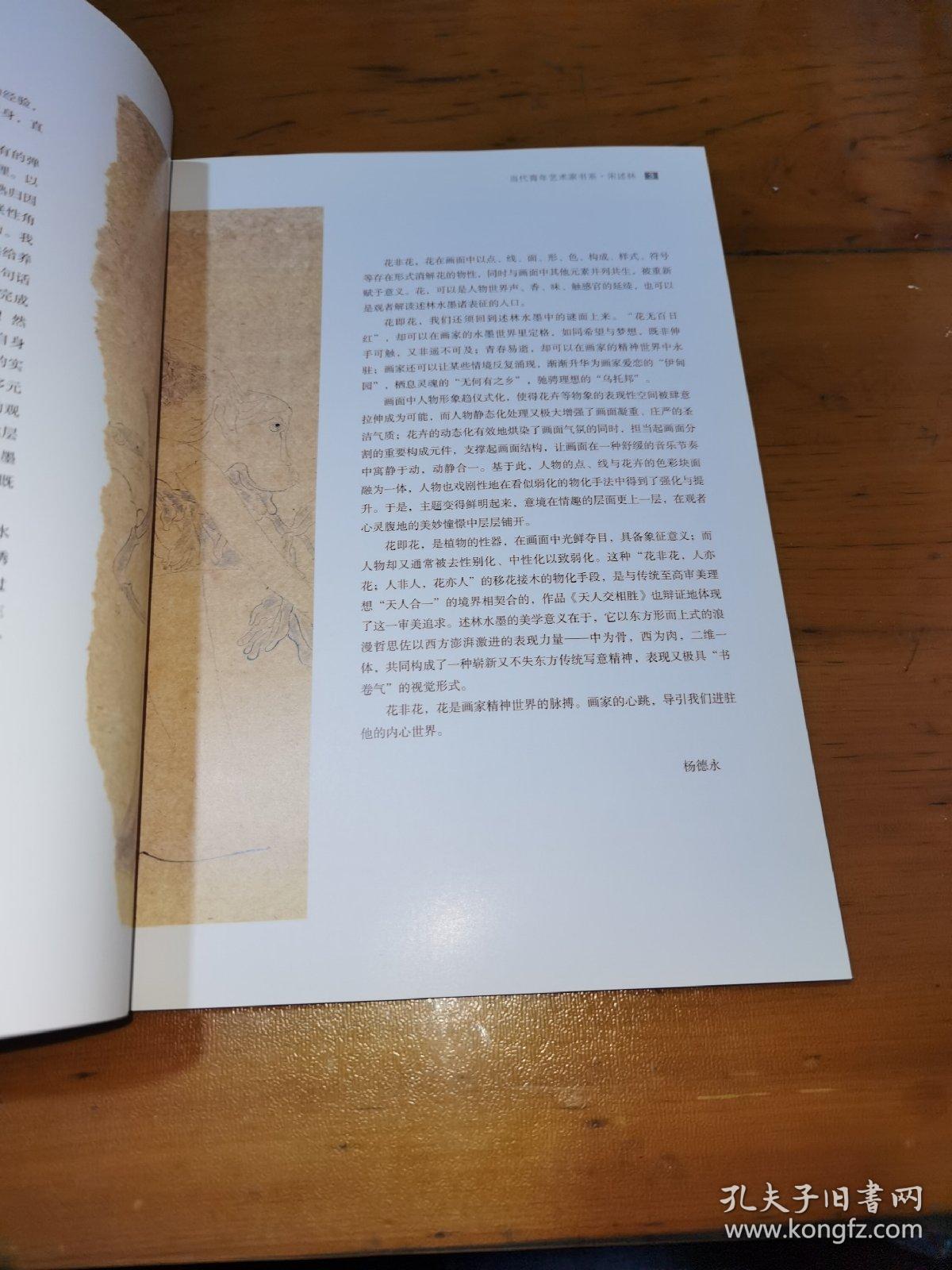 学院新生代当代青年艺术家书系宋述林