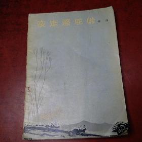 夜走骆驼岭