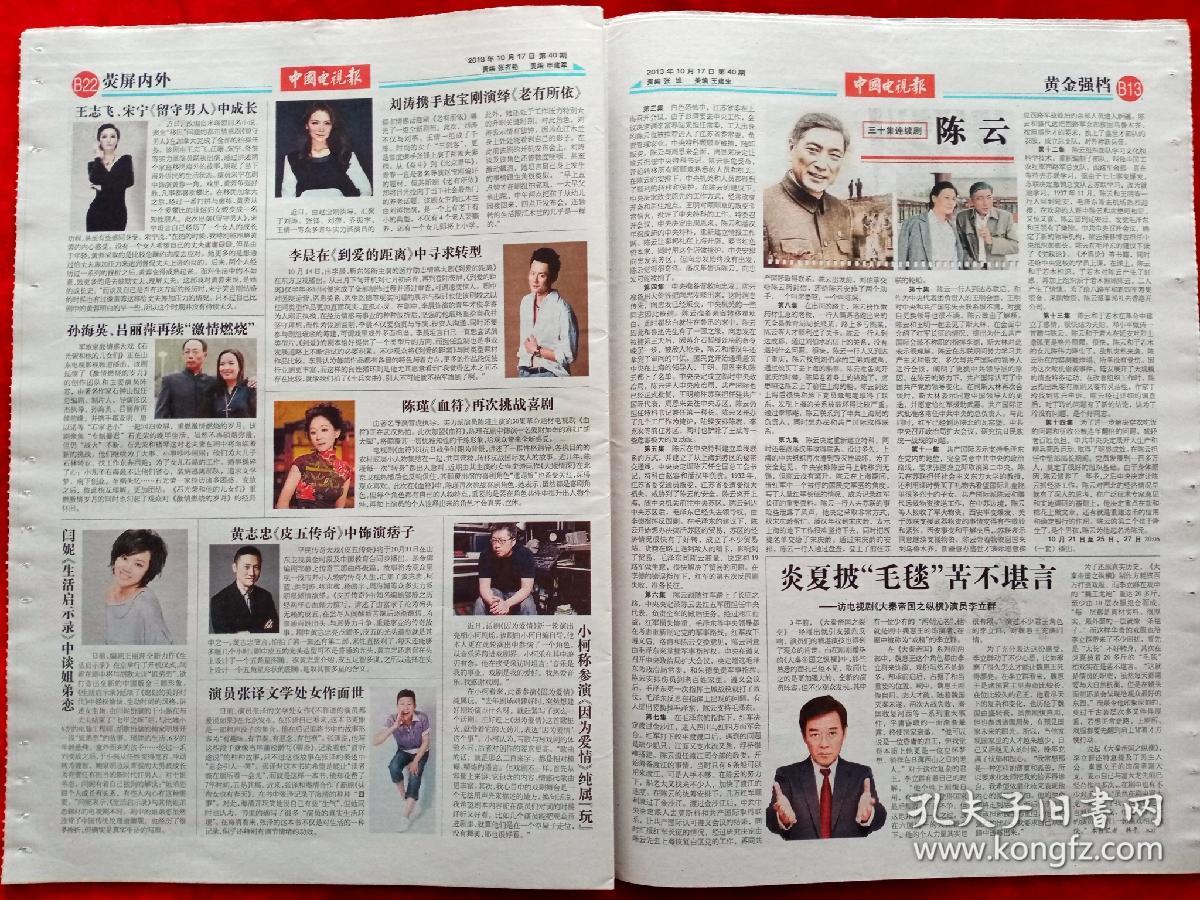 中国电视报20131017上官婉儿李亚鹏徐若瑄吴镇宇张雨生