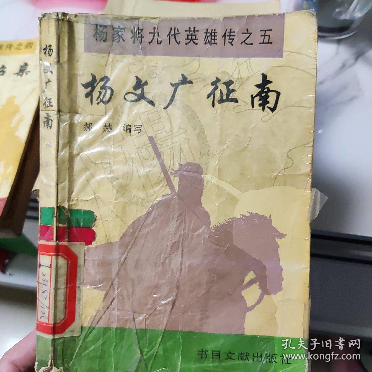 杨家九代英雄传杨六郎挂帅杨宗保招亲杨文广征南杨怀玉征西杨士瀚扫北