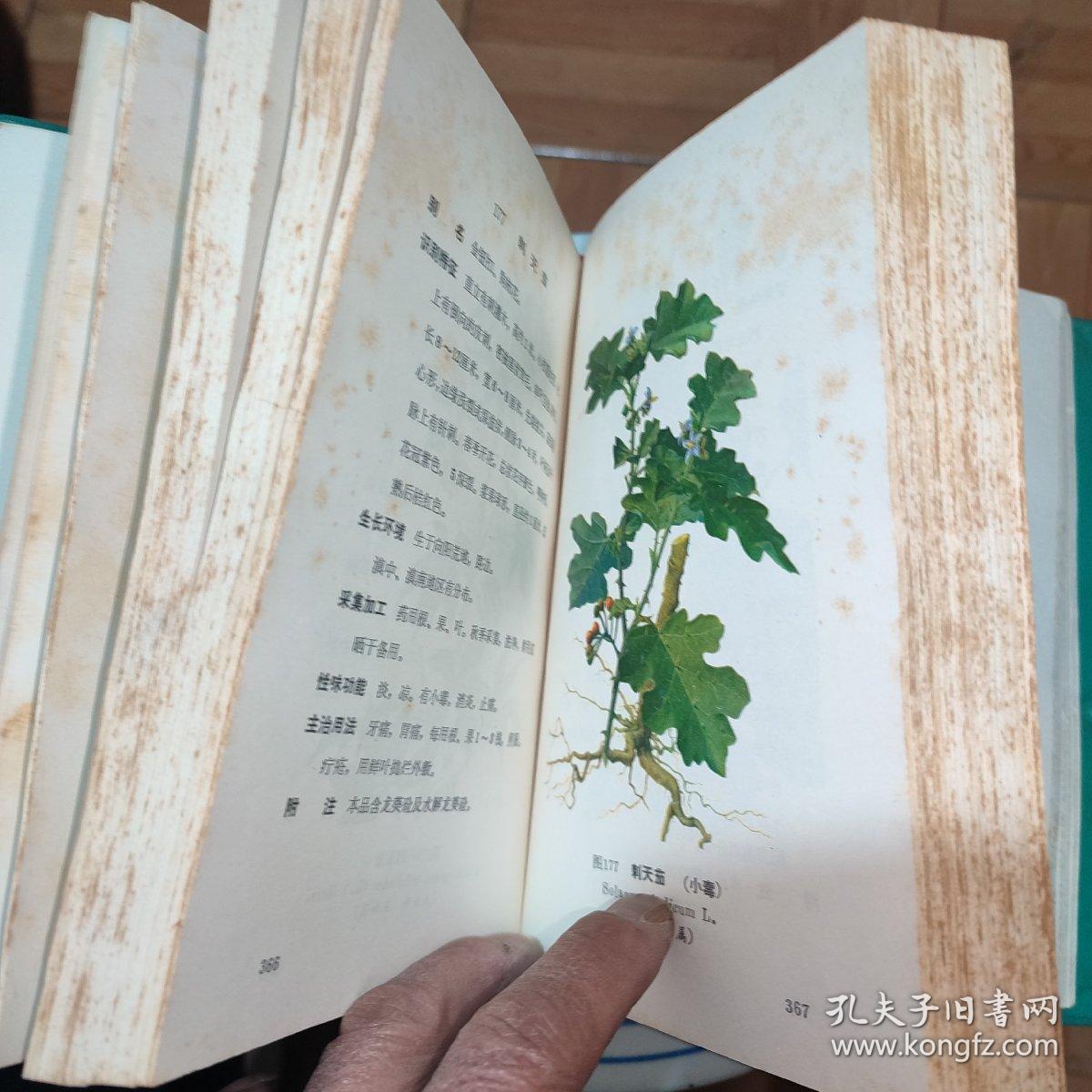 云南中草药选