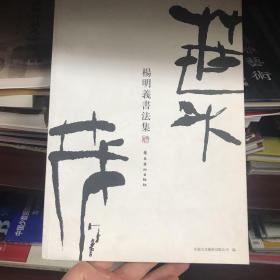 楹联扬清王子智对联书法作品集