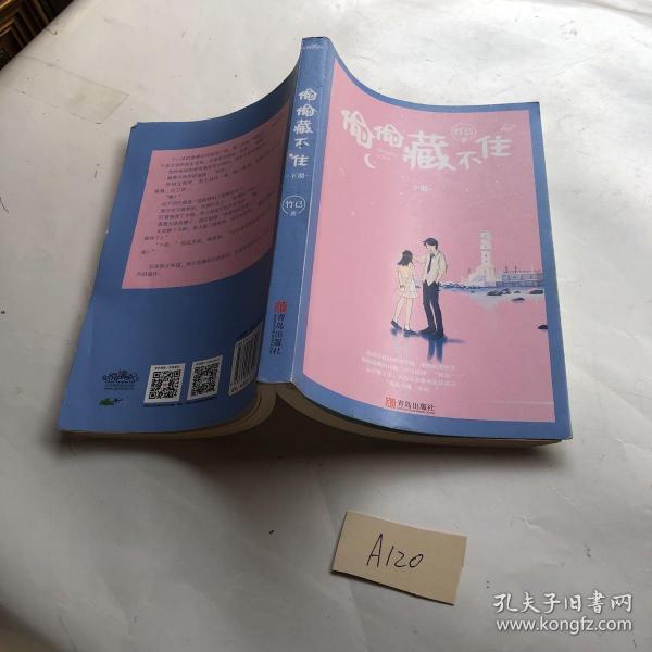 偷偷藏不住(全二册)竹已晋江金榜作品段嘉许vs桑稚