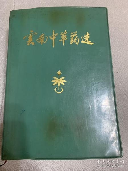 云南 中草药 选