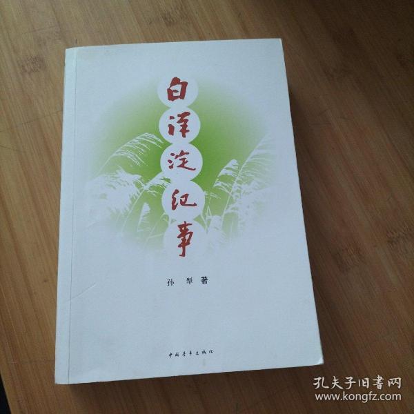 白洋淀纪事