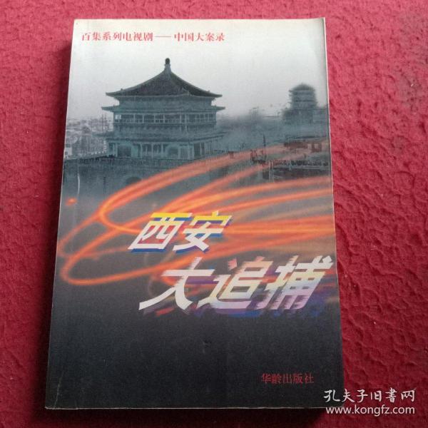 西安大追捕