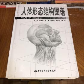 人体形态结构图谱