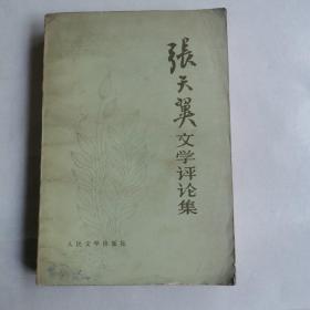 张天翼文学评论集