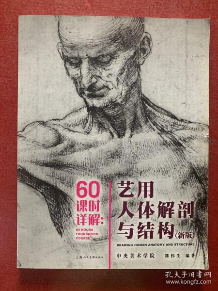 60课时详解:艺用人体解剖与结构