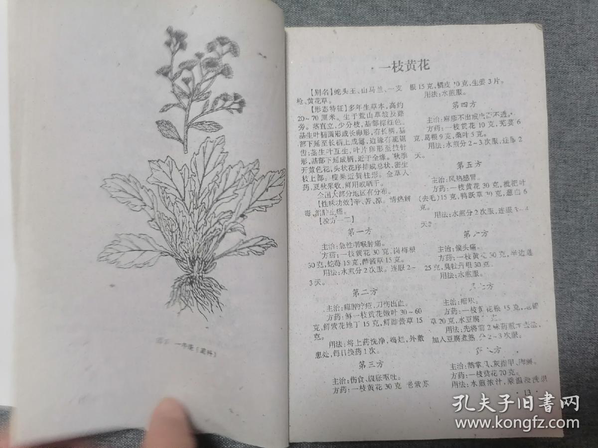 神农本草经中国民间百草良方