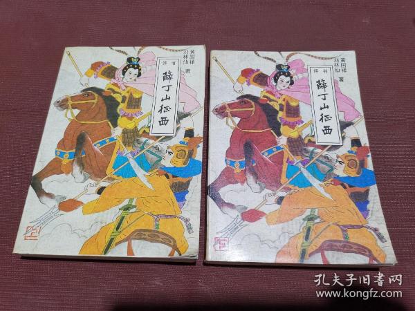 薛丁山征西 上下
