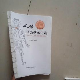 人体经筋解剖图谱图解学习人体经筋解剖及筋结点