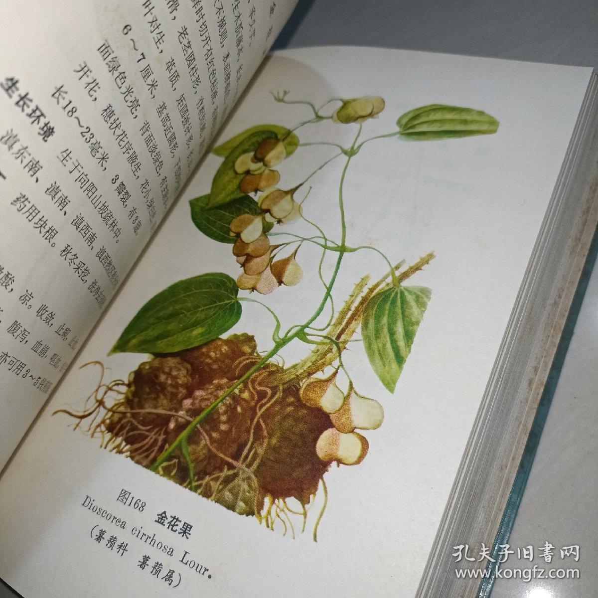 云南中草药选
