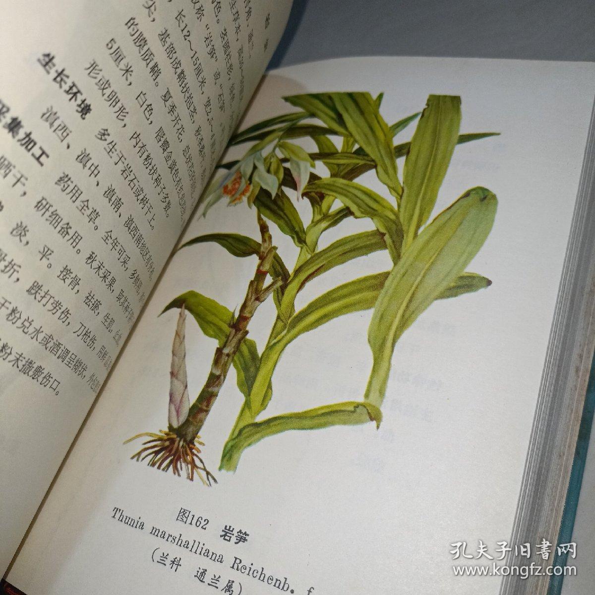 云南中草药选