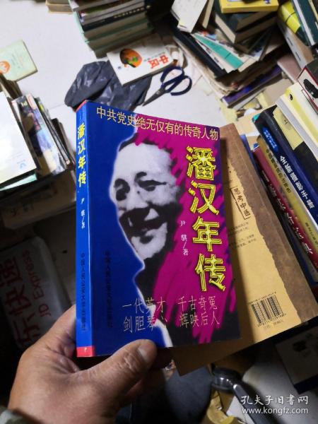 潘汉年 传
