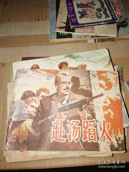 赴汤蹈火