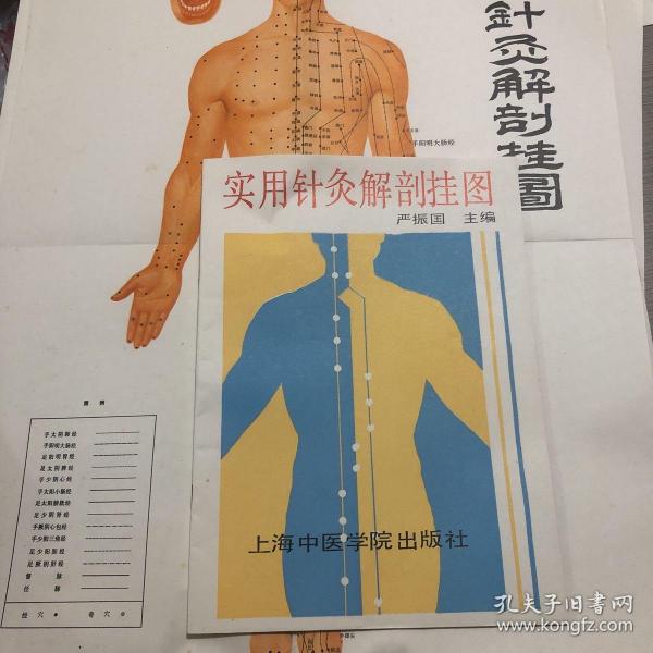 实用针灸解剖挂图 12张图