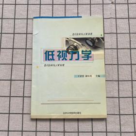 低视力学