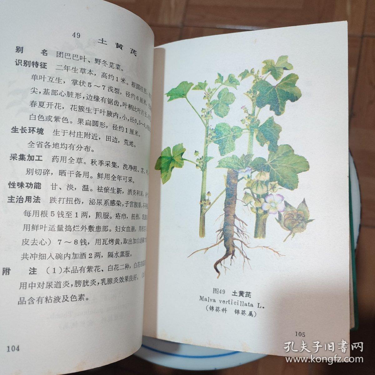 云南中草药选