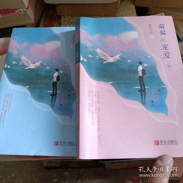 偏偏宠爱上下晋江文学城金榜作品