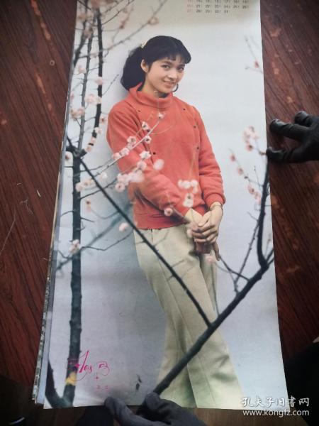 1985年挂历: 明星(13张全 龚雪,刘晓庆,周洁,龚莹,朱碧云,洪学敏,乐韵