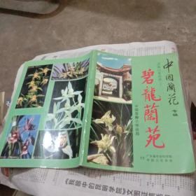 碧龙兰苑兰文化大观