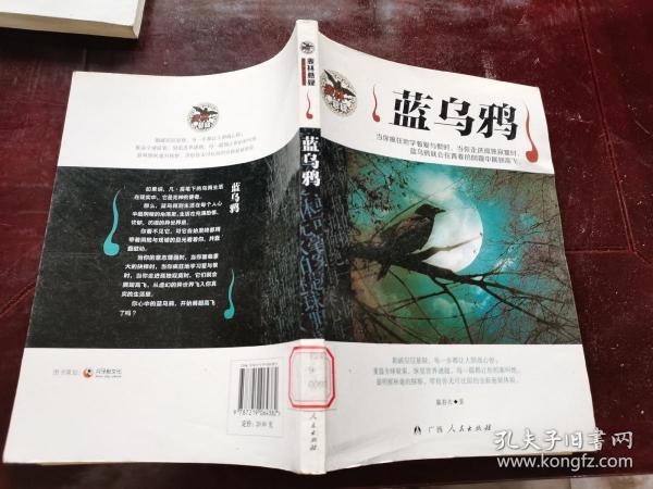 蓝 乌鸦