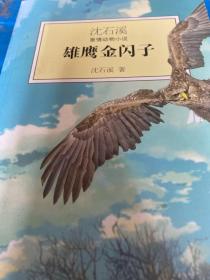 沈石溪激情动物小说雄鹰金闪子