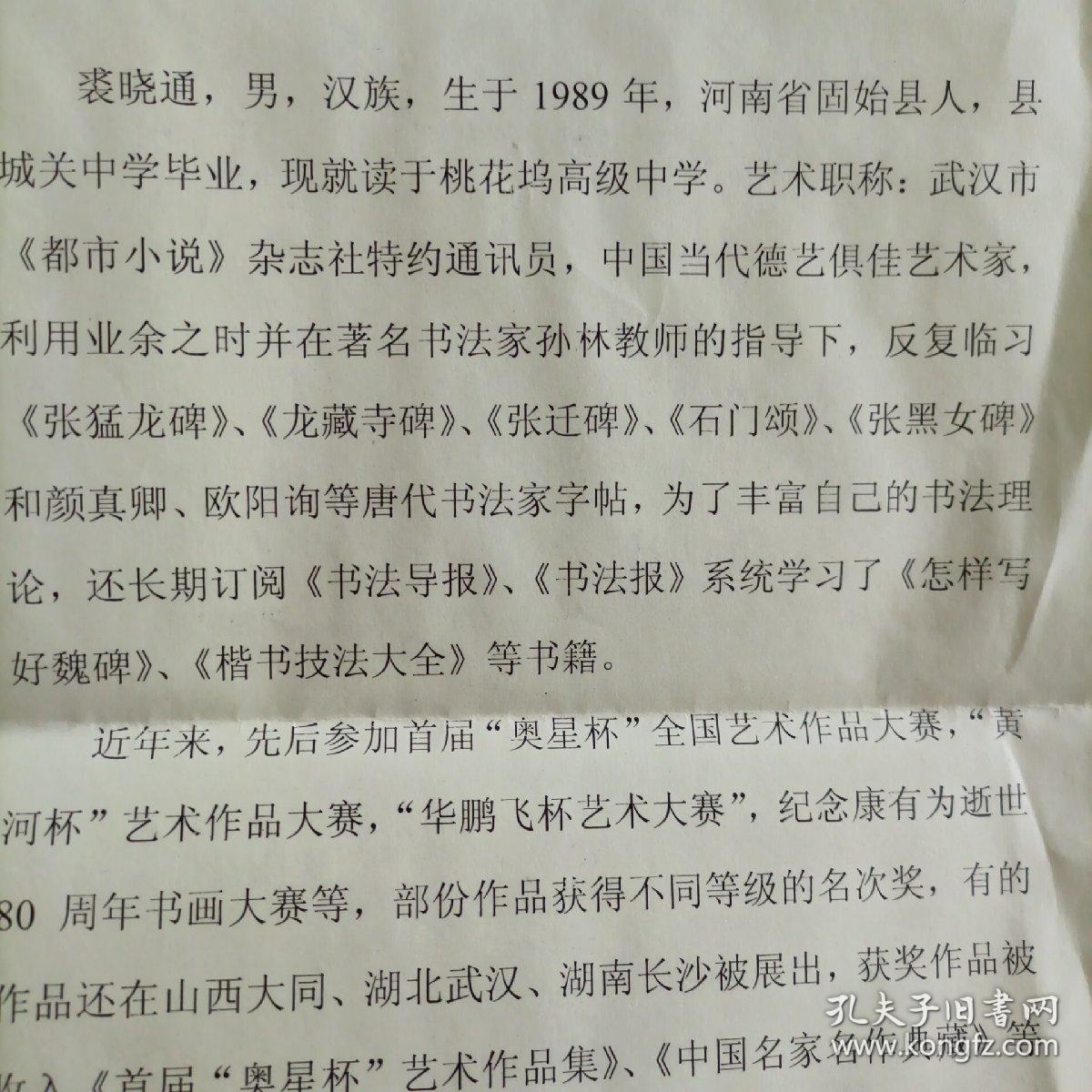 裘晓通河南固始县桃花坞中学书法报年度佳作海选投稿作品苏东坡赤壁