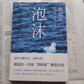 《泡沫》低价购书_[日]渡边淳一 著;高培明 译_小说_孔网