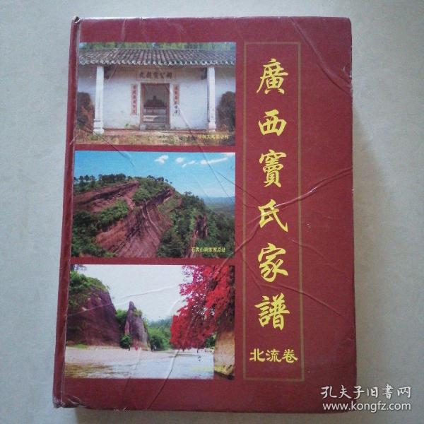 广西窦氏家谱(北流卷)