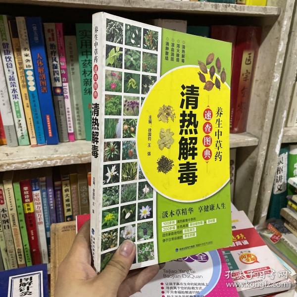 养生中草药速查图典(清热解毒)