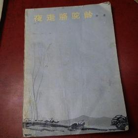 夜走骆驼岭