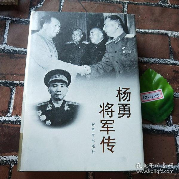 杨勇将军传