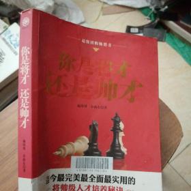 《你是将才,还是帅才》施琰博,余政东 著_孔网