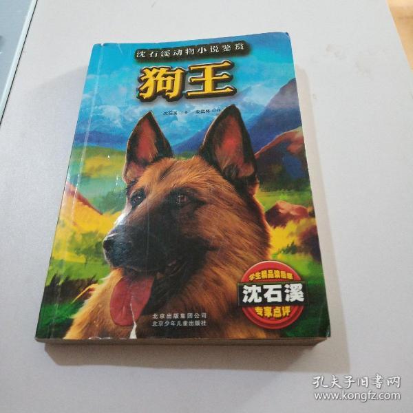 小说
