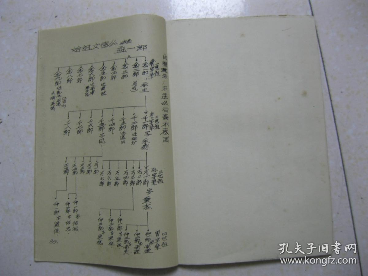 林氏宗谱(1991年元月重修.