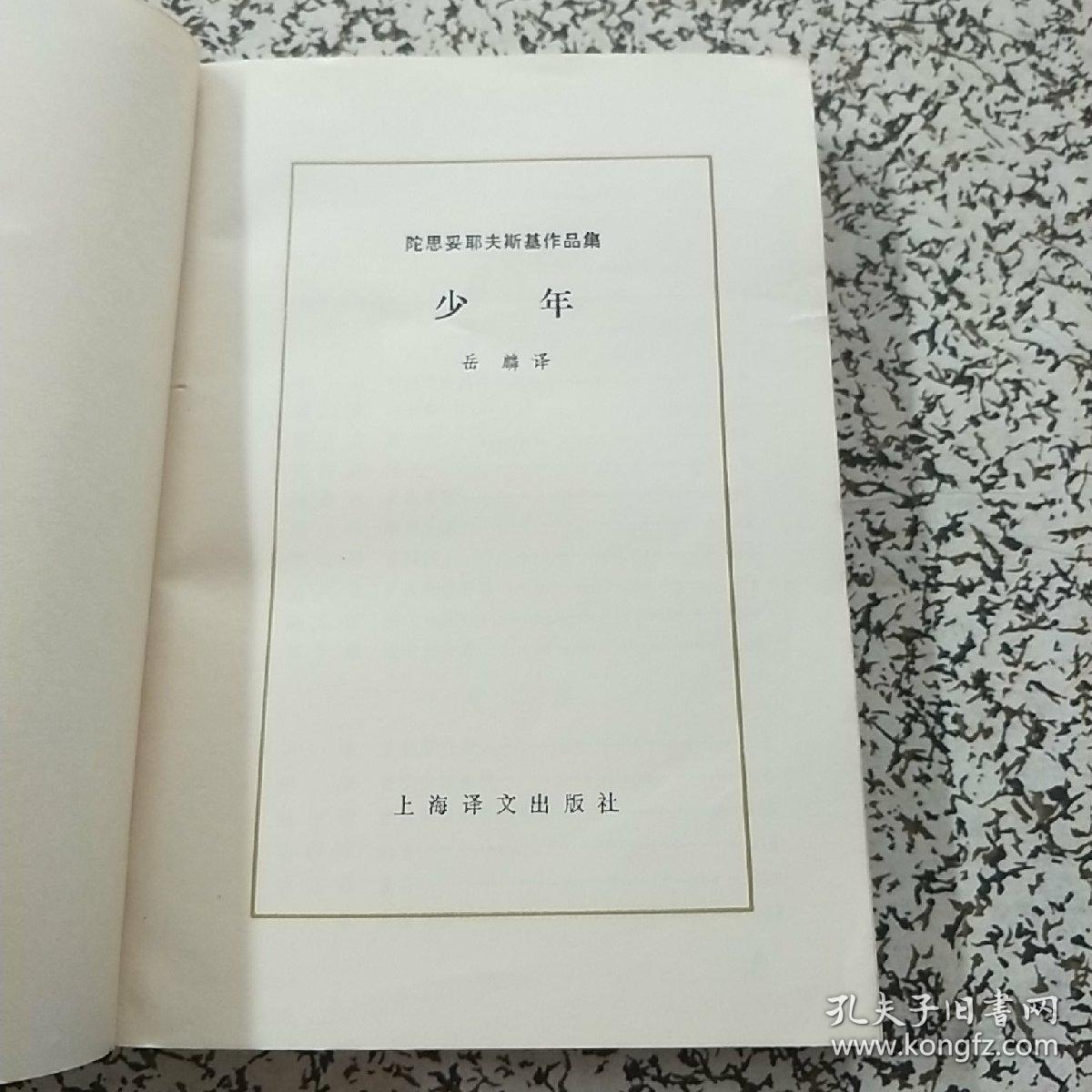 陀思妥耶夫斯基作品集 少年