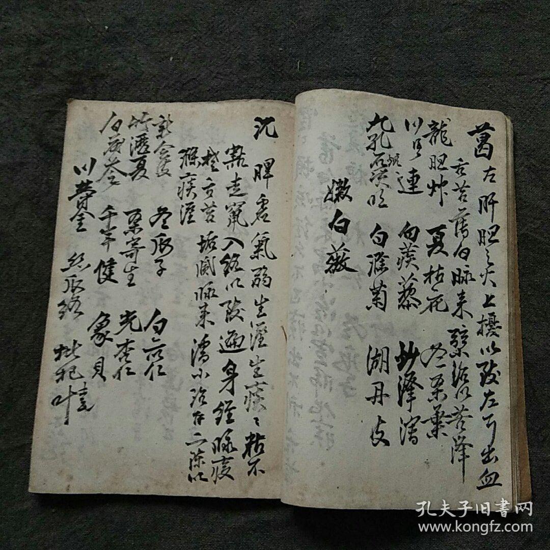 清代或者民国毛笔写本《医案》,字体漂亮!