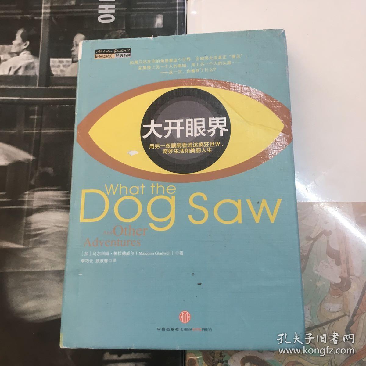 大开眼界:用另一双眼睛看透这疯狂世界,奇妙生活和美丽人生